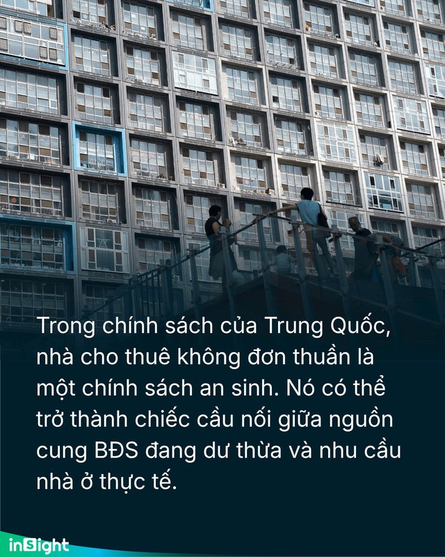  - Ảnh 4.