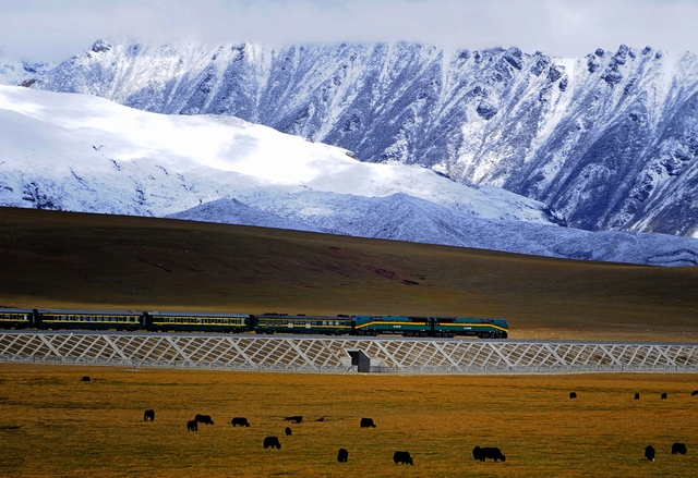 Xây xong đường sắt cao nhất thế giới, Trung Quốc chôn 15.000 cây sắt 2 bên, ở trong chứa thứ cực độc đáo- Ảnh 6.