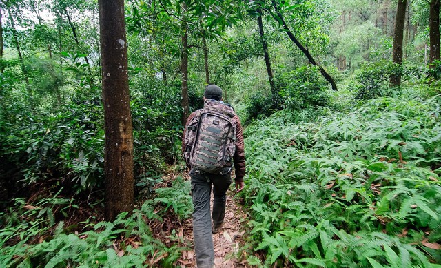 Chinh phục nơi được mệnh danh là "nóc nhà Thủ đô": Cách trung tâm chỉ 40km, thì ra là cái tên quen thuộc- Ảnh 4.