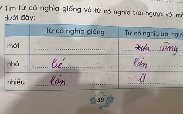 Từ Đồng Nghĩa Với Từ Nhiều: Tìm Hiểu Các Từ Thay Thế Phổ Biến