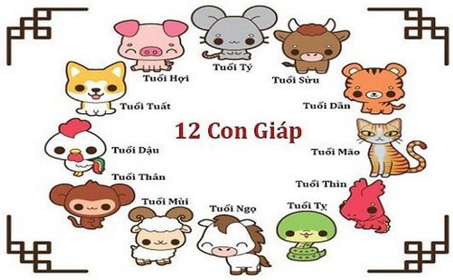 9 Là Con Gì - Giải Mã Ý Nghĩa Và Những Điều Bí Ẩn Xung Quanh