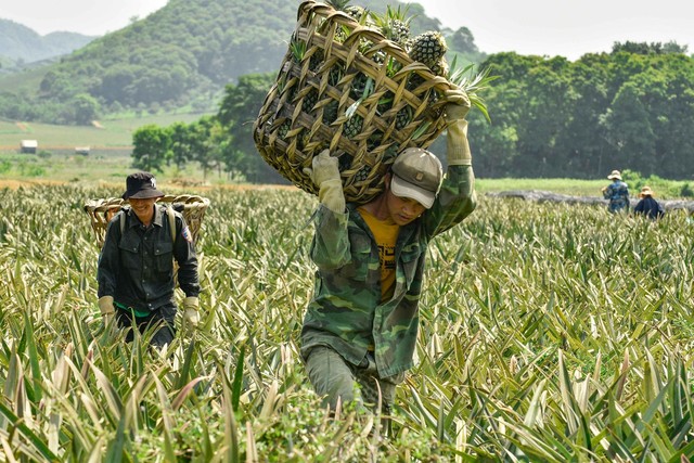 Việt Nam gặt hái được nhiều thành tựu chưa từng có trong lịch sử- Ảnh 3.