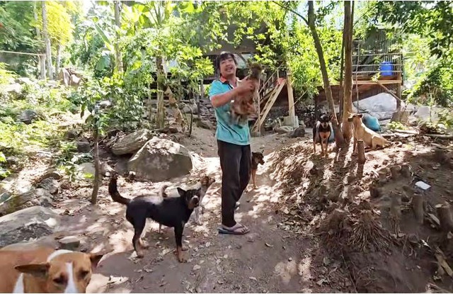 Được đàn chó hoang cứu mạng, người đàn ông chuyển lên "núi cấm" ở, sau 9 năm thay đổi vợ không nhận ra- Ảnh 1.