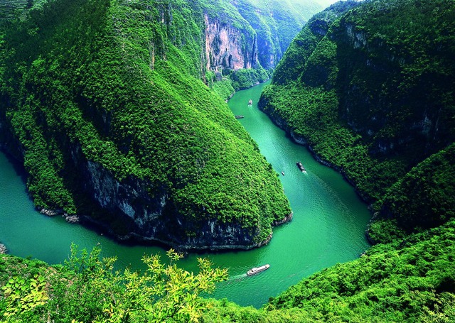 "Quái ngư" sông Dương Tử: Nặng hơn 600 kg, dài tới 8 m, 4 người vác không nổi- Ảnh 1.