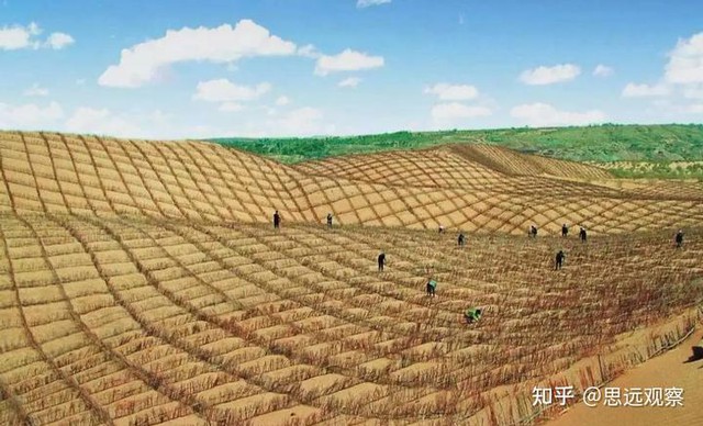 "Quái vật ăn cát" của Trung Quốc nuốt chửng 40 mẫu sa mạc một ngày, được ví như cỗ máy in tiền khổng lồ- Ảnh 5.