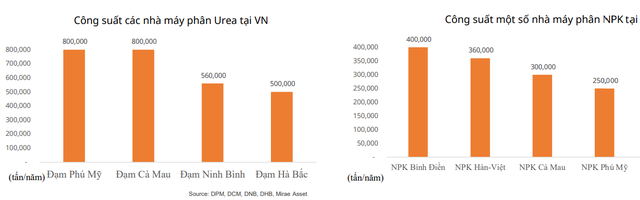 Một mặt hàng quan trọng trên thị trường sẽ tiếp tục tăng giá, Việt Nam có 1.000 doanh nghiệp sản xuất- Ảnh 4.