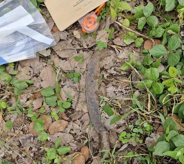 Lời khai rợn người của nam thanh niên 18 tuổi sát hại mẹ đẻ, vùi xác phi tang - Ảnh 1.