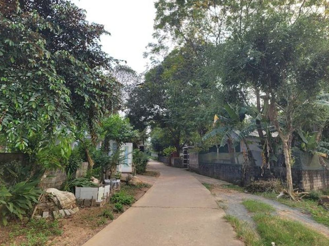 Nữ sinh lớp 8 ở Thanh Hóa bị hàng xóm xâm hại đến mang thai đôi: Bố mẹ đi làm ăn xa, ở nhà với ông bà - Ảnh 1.