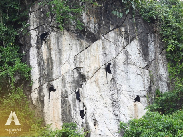 Bất ngờ gặp "người bạn" quý hiếm trên núi, Trung tá biên phòng lập ra "tiểu đội" vang danh vùng di sản - Ảnh 3.