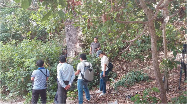 Loài cây đặc biệt duy nhất Việt Nam sở hữu: Gỗ càng để lâu cứng như sắt, hiện chỉ còn 13 cá thể cổ thụ - Ảnh 6.