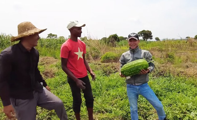 Ruộng dưa hấu ở Angola đến ngày thu hoạch, ông chủ người Việt hái làm quà tặng, phát hiện điều bất ngờ - Ảnh 3.