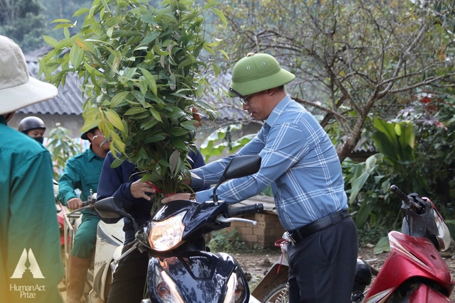 Những loài cây được chọn để trồng rừng phải đáp ứng ba tiêu chí quan trọng: là cây bản địa, có khả năng cung cấp nguồn thu phụ từ lâm sản ngoài gỗ, và được cộng đồng đồng thuận lựa chọn.