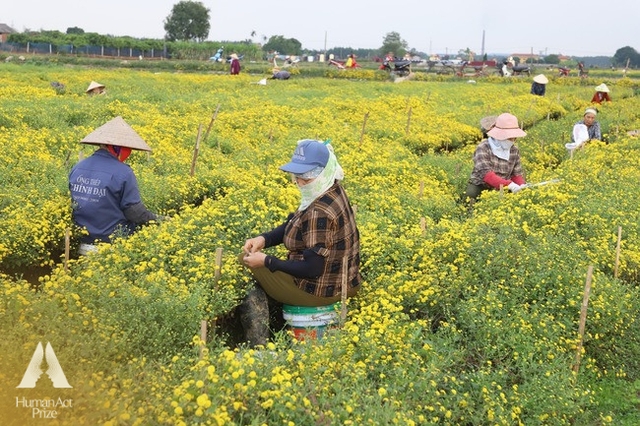 Giúp người dân khai thác “kho báu cỏ cây”, một DN chinh phục thành công thị trường 7 tỷ USD ở Việt Nam - Ảnh 6.