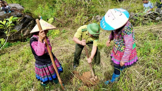 Người dân địa phương sẽ tham gia tích cực vào quá trình trồng rừng, chăm sóc cây, theo dõi tỷ lệ sống của cây, và thực hiện trồng dặm rừng trong ba năm đầu sau khi trồng.