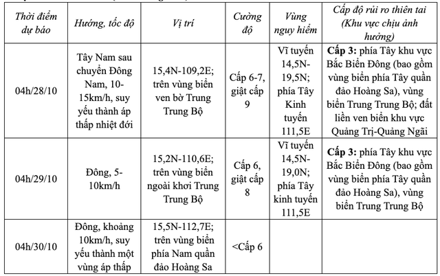 Cập nhật tin bão số 6: Bão Trà Mi đang tiến gần Đà Nẵng, diễn biến rất phức tạp - Ảnh 3.