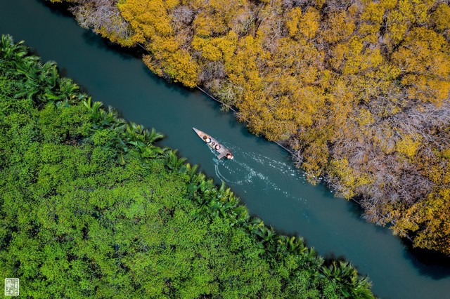 Rừng ở Huế thuộc hệ "cực quý hiếm" của Đông Nam Á, cách thành phố hơn 10km, cảnh sắc thay đổi theo mùa - Ảnh 4.