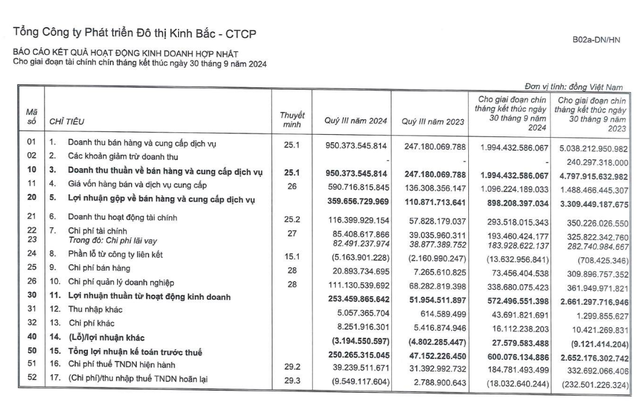 Bắt tay với công ty nhà ông Donald Trump làm dự án tỷ USD, DN của đại gia Đặng Thành Tâm kinh doanh ra sao? - Ảnh 2.