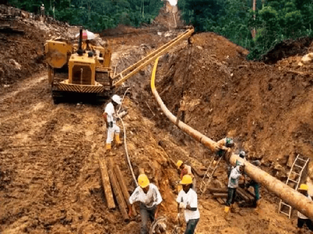 Đang đào đường, công nhân đụng độ trăn Anaconda khổng lồ với 'khối u' kỳ dị: Không thể tin thứ nó đã nuốt - Ảnh 2.