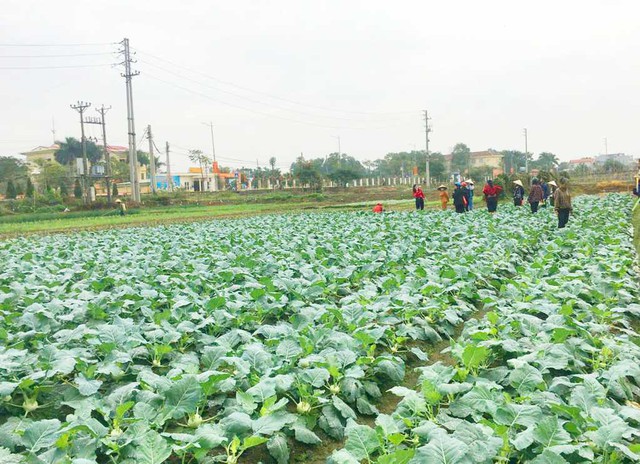 Biến vùng đất ven biển hoang sơ có lịch sử hơn 1.000 năm trở thành