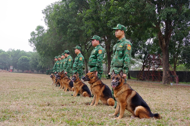 80 'chiến sĩ đặc biệt' sẽ trình diễn gì tại lễ khai mạc Triển lãm quốc phòng quốc tế Việt Nam 2024? - Ảnh 2.