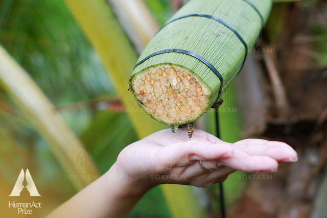 Con gái lão nông Nam Bộ rẽ hướng táo bạo, Việt Nam có loại nước tương mới làm từ "vàng lỏng" của tự nhiên - Ảnh 4.