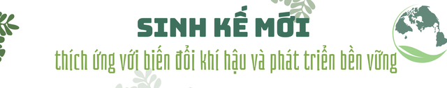 Con gái lão nông Nam Bộ rẽ hướng táo bạo, Việt Nam có loại nước tương mới làm từ "vàng lỏng" của tự nhiên - Ảnh 8.