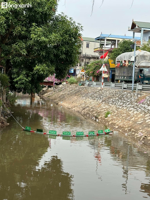 Chàng trai bỏ việc lương khá để dầm mình dưới sông dọn rác, sợ hãi khi bị kim tiêm đâm thẳng vào đùi - Ảnh 9.