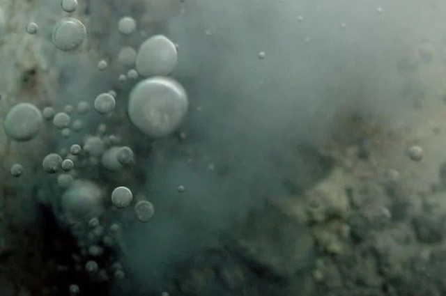 Hóa ra "cỗ máy" tạo ra sự sống đầu tiên trên Trái đất bắt nguồn từ dưới đáy đại dương- Ảnh 1.