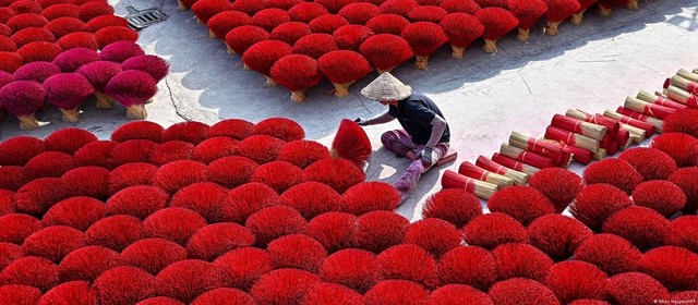 Mỗi sáng, hàng chục ngàn que hương được mang ra phơi nắng. Gia đình cô Đặng Thị Hoa thường nhuộm hương màu đỏ tươi hoặc hồng khi Tết sắp đến.