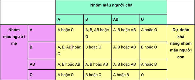 Thấy con có nhóm máu khác mình, người đàn ông một mực nghĩ vợ ngoại tình: 7 năm sau sự thật được hé lộ- Ảnh 2.