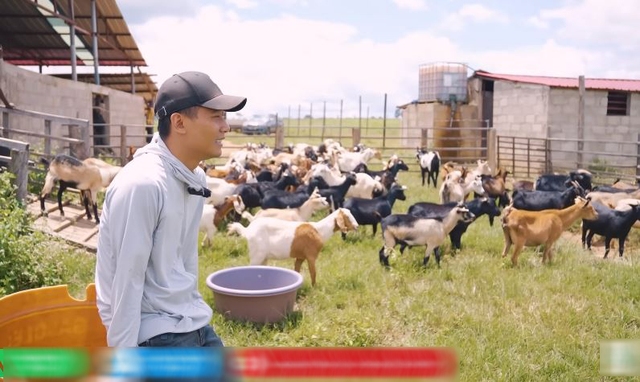 Quang Linh Vlog đau xót vì trang trại mất 70 con dê, hàng chục tỷ đầu tư có nguy cơ đổ sông đổ bể- Ảnh 3.