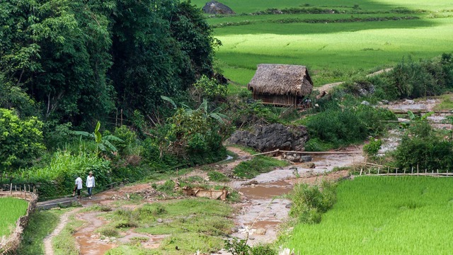 Phát hiện hang động hoang sơ với những khối núi đá vôi hàng trăm triệu tuổi, cách Hà Nội chỉ hơn 200km- Ảnh 6.