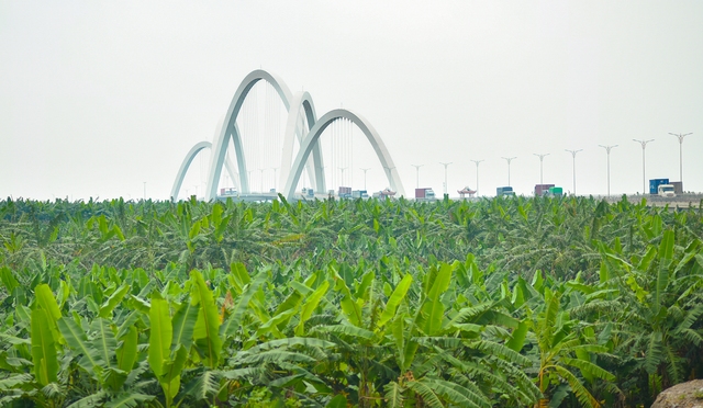 Cần cẩu siêu trọng đi suốt một tháng để dựng nên cầu 1.900 tỷ, có vòm thép cao nhất Việt Nam- Ảnh 11.