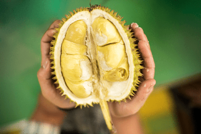 Loại trái cây xấu xí nhưng xuất khẩu số 1 Việt Nam: Dinh dưỡng xứng đáng ngôi vương- Ảnh 1.