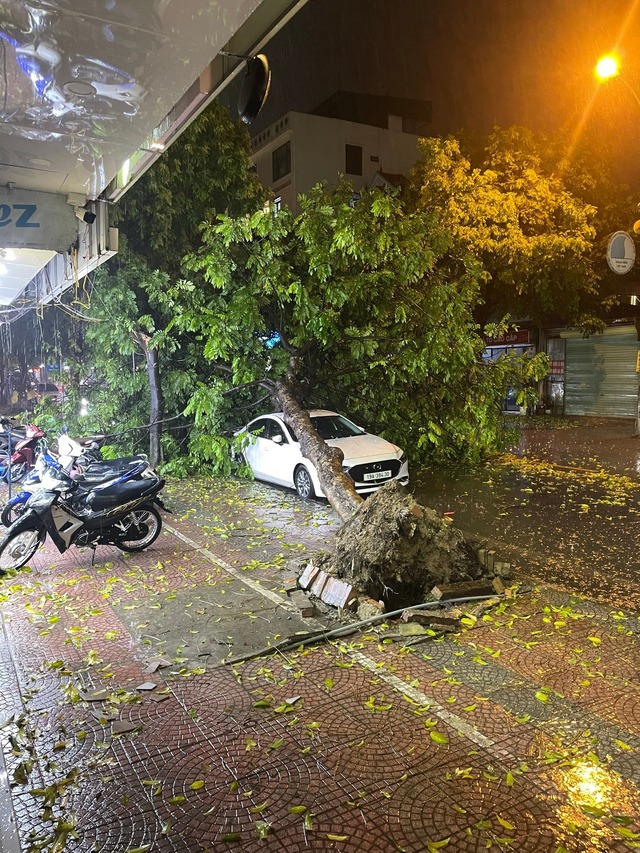 Cây đổ trên nhiều tuyến phố Hà Nội sau trận mưa lớn, đoạn clip khiến tất cả xôn xao - Ảnh 1.