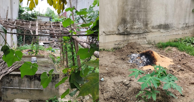 Hiện trường vụ thiếu nữ 15 tuổi nghi bị sát hại, chôn xác trong vườn tại  Hải Phòng