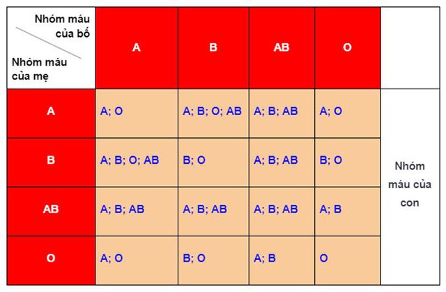 Thấy phiếu khám sức khoẻ của 2 con, bố tức tốc đưa con đi xét nghiệm ADN: Cầm kết quả lập tức hối hận- Ảnh 1.