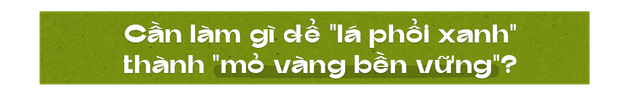 Một kho báu của TP.HCM sẽ thu ròng 1.500 tỷ mỗi năm? Chuyên gia: Phải đo lường lỗ hay lãi đã!- Ảnh 6.