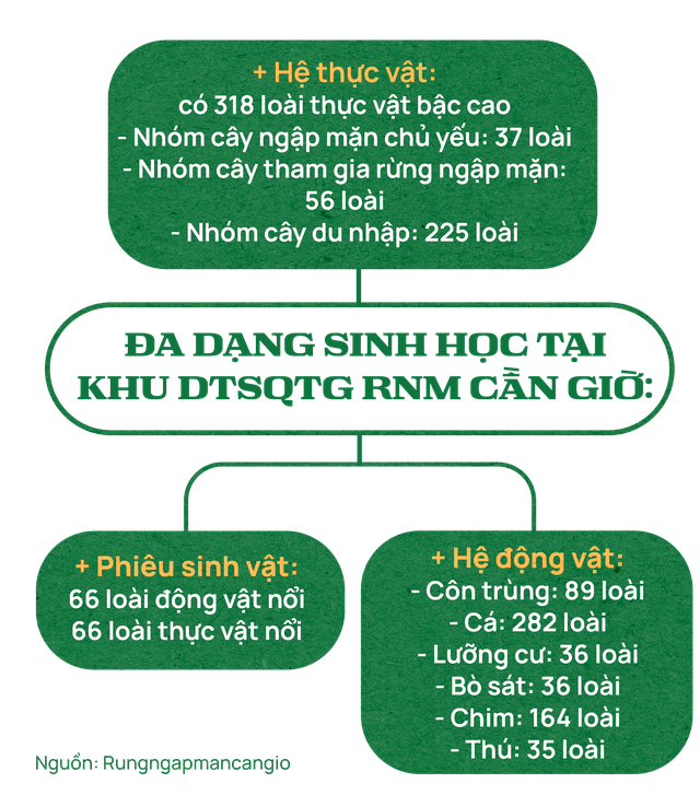 Một kho báu của TP.HCM sẽ thu ròng 1.500 tỷ mỗi năm? Chuyên gia: Phải đo lường lỗ hay lãi đã!- Ảnh 7.