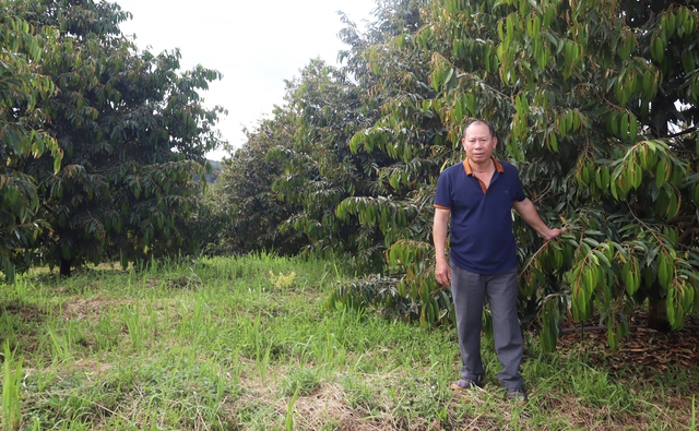 Người nông dân biến vùng đất hoang đầy sỏi đá, khô cằn thành "đất vàng", thu lời 4 tỷ đồng/năm - Ảnh 1.