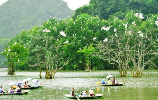 Phát hiện điểm du lịch sông nước độc lạ tại thành phố biển, du khách ca ngợi như một “miền Tây thu nhỏ"- Ảnh 3.