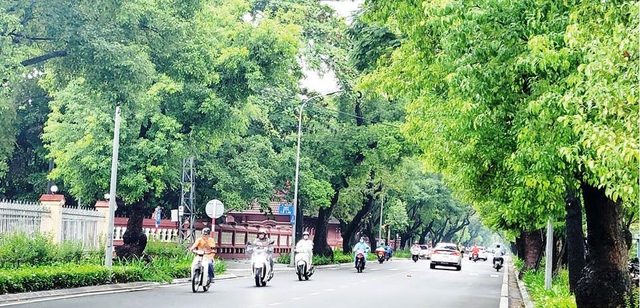 Thêm 3 tỉnh bị Bộ Công an yêu cầu cung cấp tài liệu về dự án cây xanh, danh sách ngày càng dài- Ảnh 2. Thêm 3 tỉnh bị Bộ Công an yêu cầu cung cấp tài liệu về dự án cây xanh, danh sách ngày càng dài- Ảnh 2.