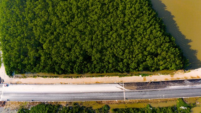 Toàn cảnh khu vực được xây cây cầu trị giá 2.000 tỷ sắp hoàn thành, kết nối Hải Phòng và Quảng Ninh, đưa tuyến phà sông lớn nhất miền Bắc về “nghỉ hưu”.- Ảnh 7.