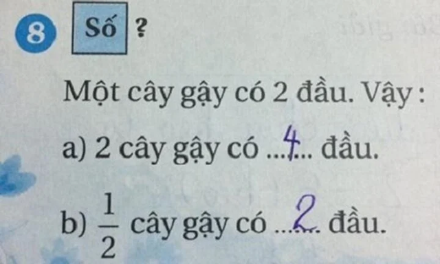 Một cây gậy có 2 đầu, nửa cây gậy có mấy đầu? - Bài toán tiểu học nhưng khiến phụ huynh cãi nhau nảy lửa- Ảnh 1.