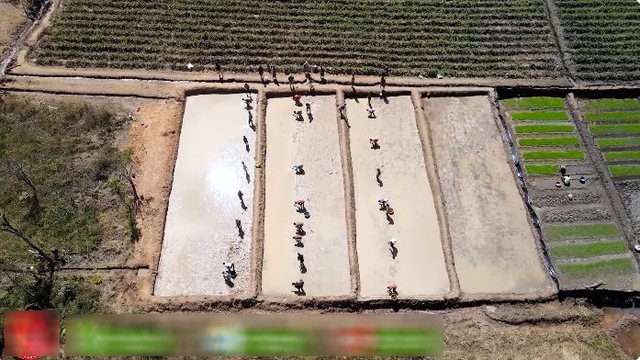 "Công nghệ" cấy lúa mới nhất Việt Nam được ứng dụng ở Angola, chủ trang trại có quyết định liều lĩnh- Ảnh 3.