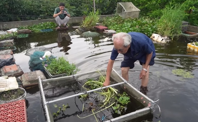 Ao cá trên nóc nhà của cụ ông 89 tuổi ở Hải Dương: Có khách cũng không phải đi chợ, lên ao là có ăn- Ảnh 5.