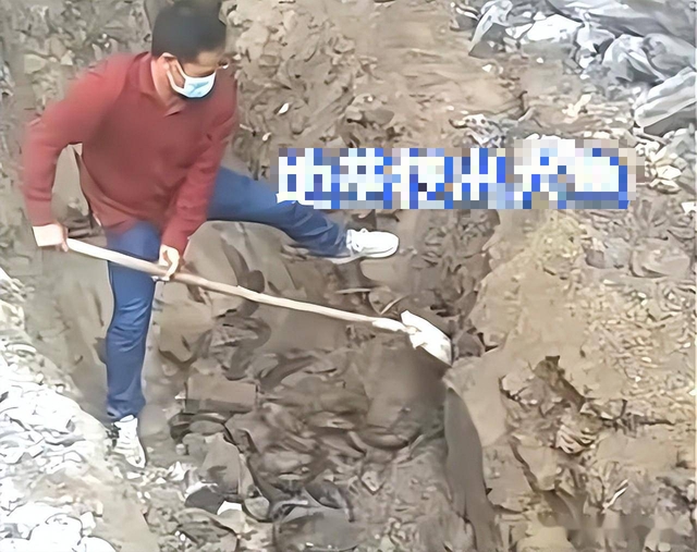 Một người đàn ông đào ra đàn sinh vật màu đen sống dưới nền móng nhà: Ở Việt Nam không còn lạ gì!- Ảnh 1.