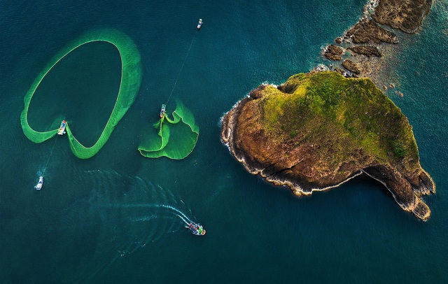 Hòn đảo ở Phú Yên được công nhận danh thắng quốc gia, cách đất liền chỉ 400m, thấy san hô ngay trên cạn- Ảnh 1.