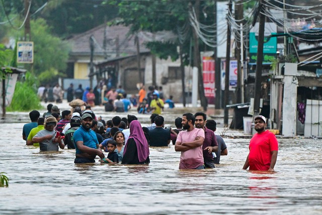 Thế giới chao đảo bởi thiên tai: Nắng nóng "giết" chết gần 100 người chỉ trong 24h tại 1 quốc gia châu Á, ngập lụt khiến Sri Lanka khốn khổ- Ảnh 15.
