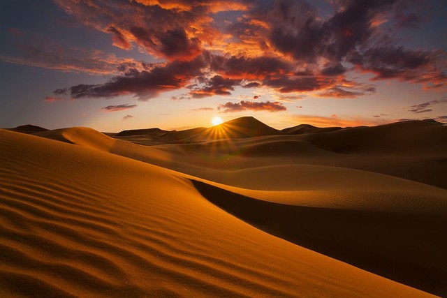 Bí ẩn tiếng vo ve kỳ lạ thường thấy ở sa mạc, chuyên gia mất hàng thế kỷ tìm lời giải- Ảnh 4.